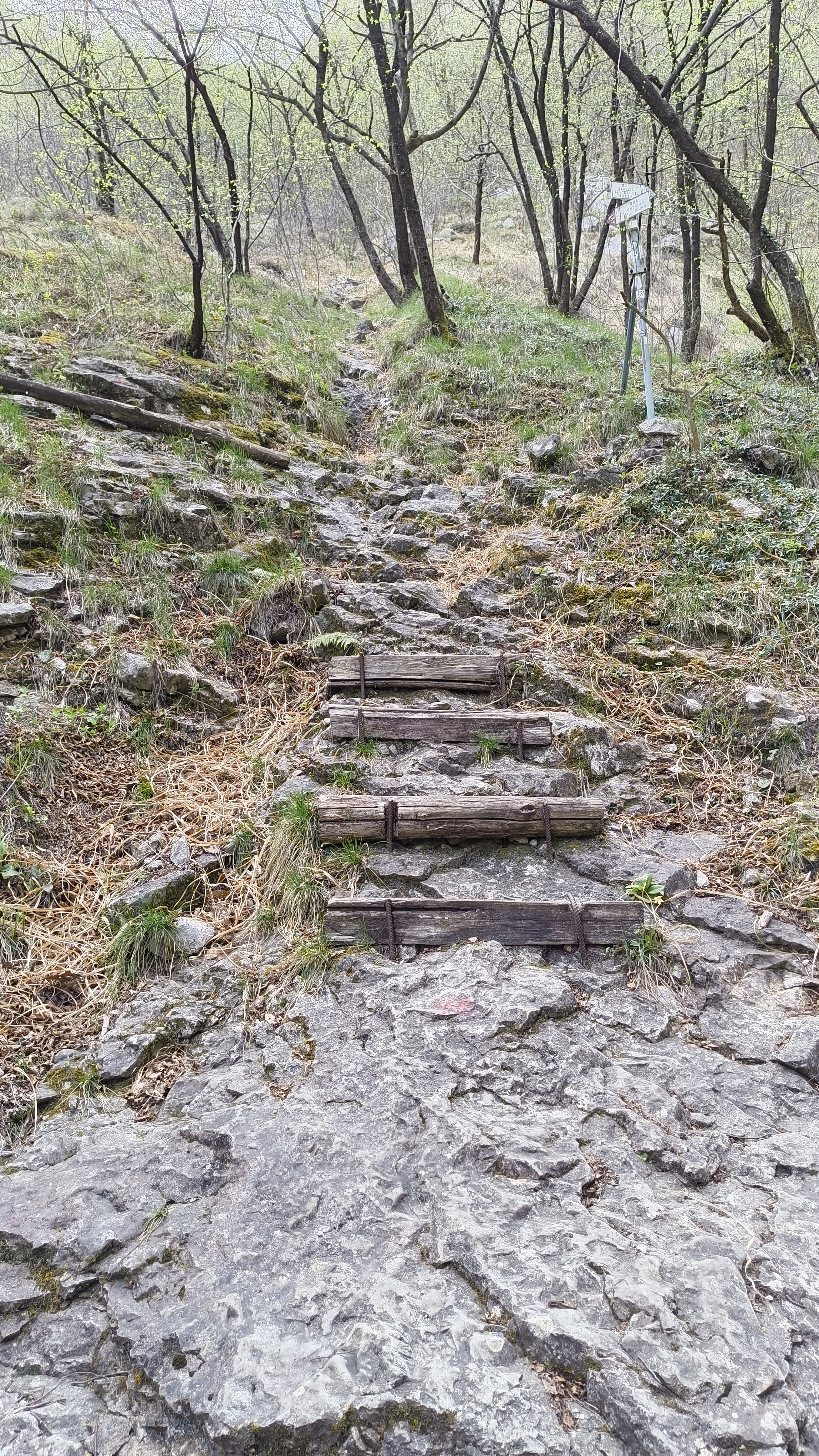 Foto n° 8 del trekking Sentiero del Fiume │ Alpe D'Era